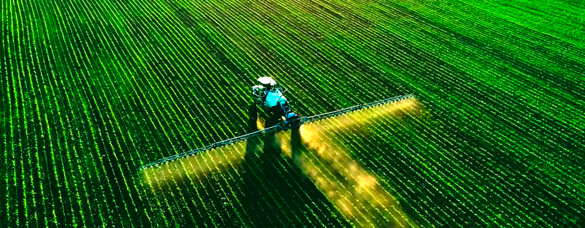 Planejamento Sucessório no Agronegócio